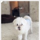 이리유치원 이미지