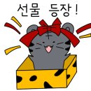 필라테스N화정