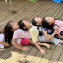 바바나무 이미지