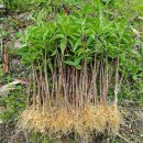 제경농장 이미지