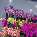 천호대로 213길 이미지