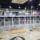 부산애견팡팡 이미지