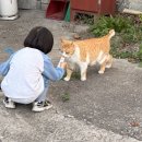 시골살이 집으로 오마이뉴스