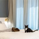 휘게호텔 이미지