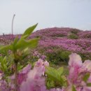 여도중학교 이미지