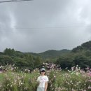 삼대집밥뷔페 | 후기없어서 내가쓴다 고흥 국내산만쓰는 백반 맛집 일성식당 또는 삼대집밥