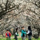 태양농원 이미지