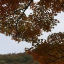 달하노피곰 캡슐호텔 이미지