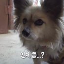 부장목장 이미지