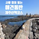 (동쪽)제주 애견동반 산책코스 추천 대섬(죽도) 용천수 조천읍 숨은 명소