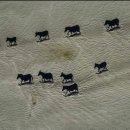 더레스토랑 이미지