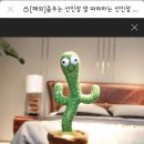 춤추는 선인장이 있다고라------(라) 이미지