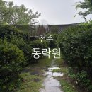 동락원 | [전주] 전주 한옥마을 방갈로있는 족욕카페 '동락원' 후기