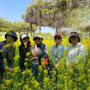 함평책집 이미지