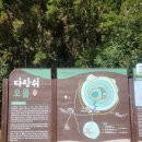 소사오름 | "제주도민 추천 오름" 후기 (다랑쉬 오름)
