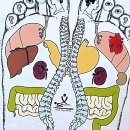 천곡마을입구 버스정류장(14306) | 쌓여만 가는 피로, 이젠 울산북구마사지 맛집에서 제대로 풀자!