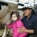 동열농장 이미지