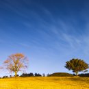 함안 말이산고분군 이미지