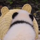 판다바구니 이미지