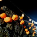 문개항아리스톤하우스 이미지