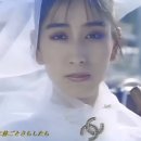 여의도진진 이미지