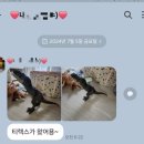 (주)티렉스 이미지