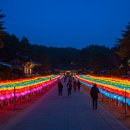 제주 정방사 불교 음악회, 이렇게 준비했습니다! 리얼플랜제주 행사대행 운영 후기
