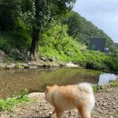 화야산장펜션 이미지