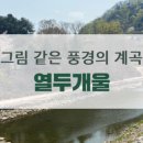 파인트리요양원 이미지