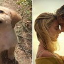 꼬리치는 강아지 이미지