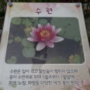함안(순천) 이미지