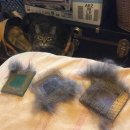 중앙실험동물(주) | '반려동물의 털을 두려워 말라' 20년 내구성 밀레(Miele)의 유선 청소기 사용 후기[모델: CX1...