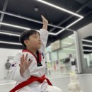 일여혼태권도장 이미지