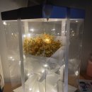 황인철수정형외과 이미지