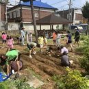 강남경로당 이미지