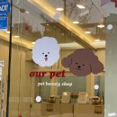 아우어펫 이미지