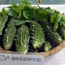 두루농원