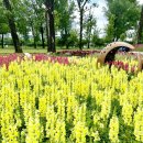 보강천1 이미지