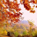 수진2동 이미지