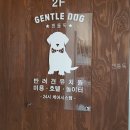 젠틀독 | 젠틀독 믿고 맡길 수 있는 곳, 직접 확인해봄