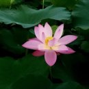 내동마을 입구 이미지