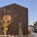 인생커피 | 강릉 카페 툇마루 본점 | 흑임자 라떼 인생 크림 커피 ! 주말 웨이팅 없이 이용 후기