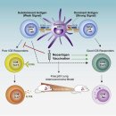 TL 동물병원 이미지