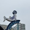 연안가방 | 연안부두 인천종합어시장 민영활어공장 본점 포장후기(내돈내산)