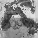 마야동물병원 이미지