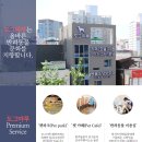 도그마루 강아지고양이 안산점 이미지