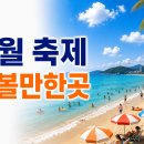 8월 축제 가볼만한곳 2026 전국 추천 BEST 총정리 이미지