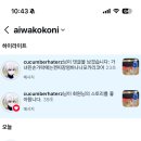 보림초등학교 | 내가 개가 될게