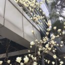 신용산역 6번 출구 이미지