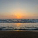 이쁜꽃지점 | 충남 안면도 꽃지해수욕장 숙소 태안 아일랜드 리솜 리조트